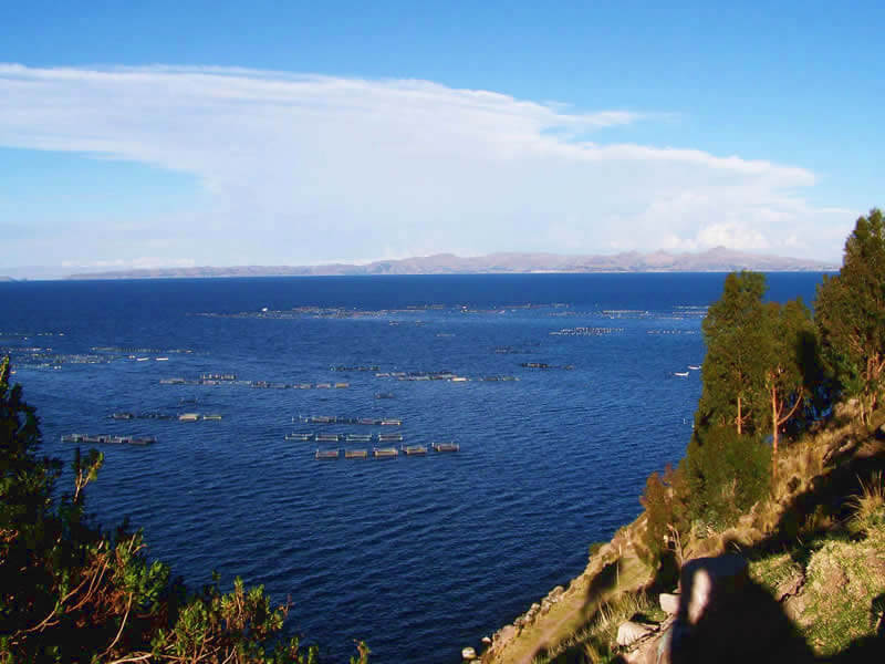 Puno