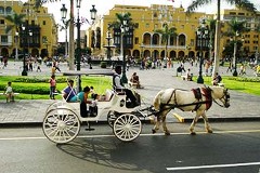 JARAMILLO Gustavo Adolfo - Colombia